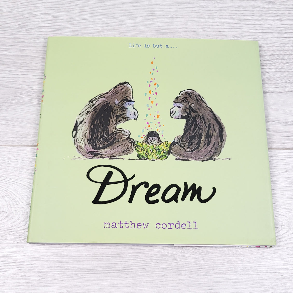 Life is But a Dream. Hardcover book