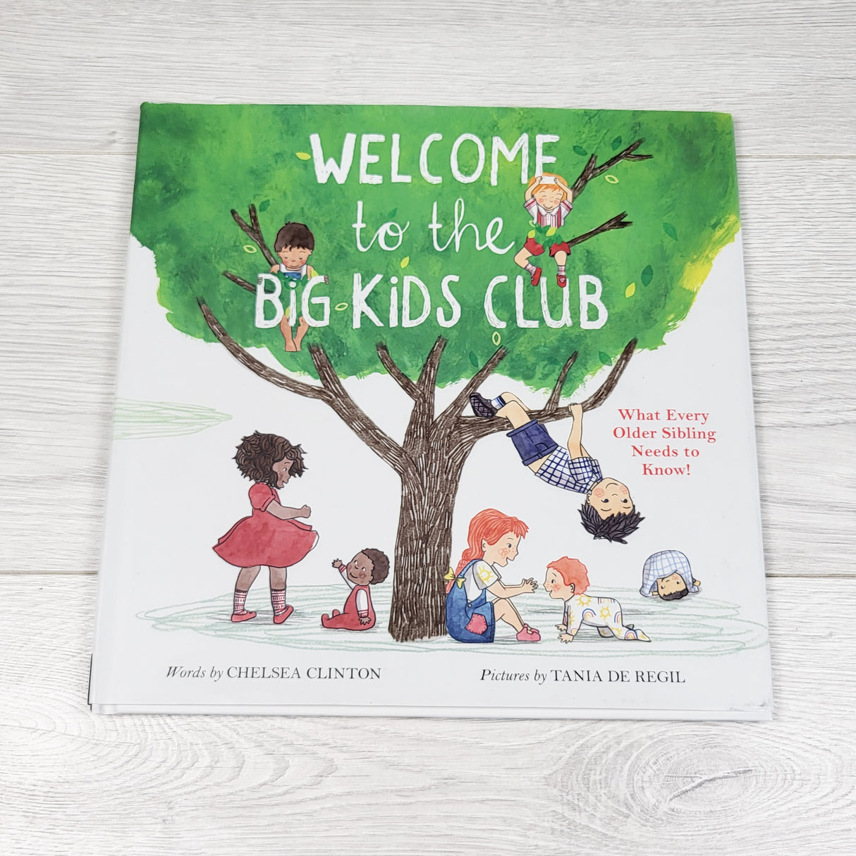 Welcome to the Big Kids Club: What Every Older Sibling Needs to Know