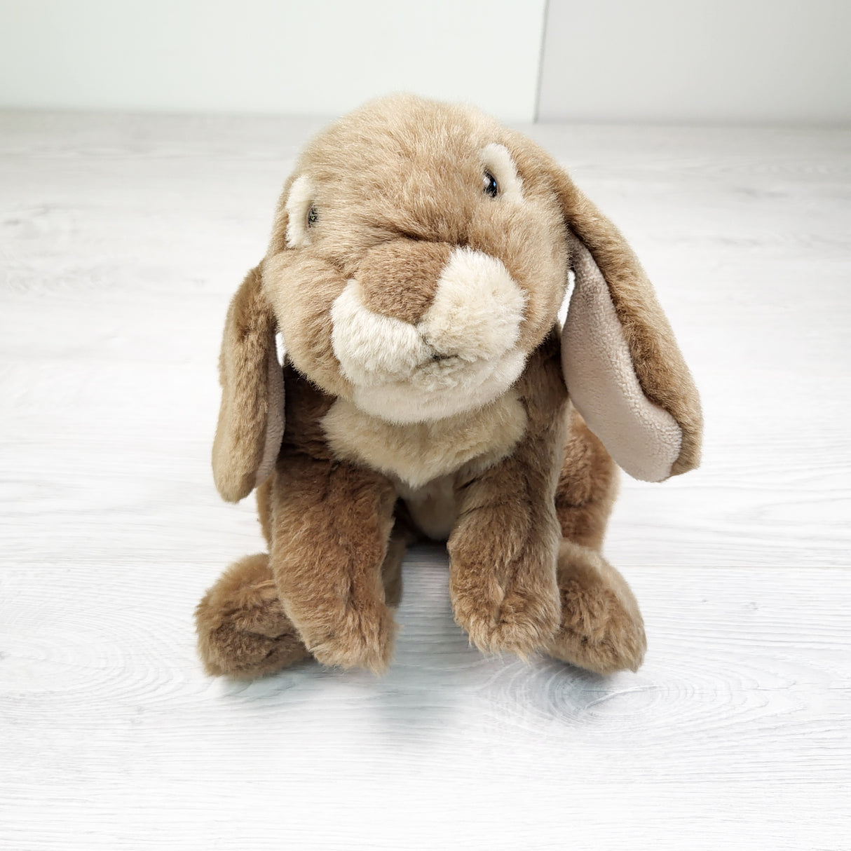 Cute floppy eared bunny plush (7 inches.) Sorry, no shipping