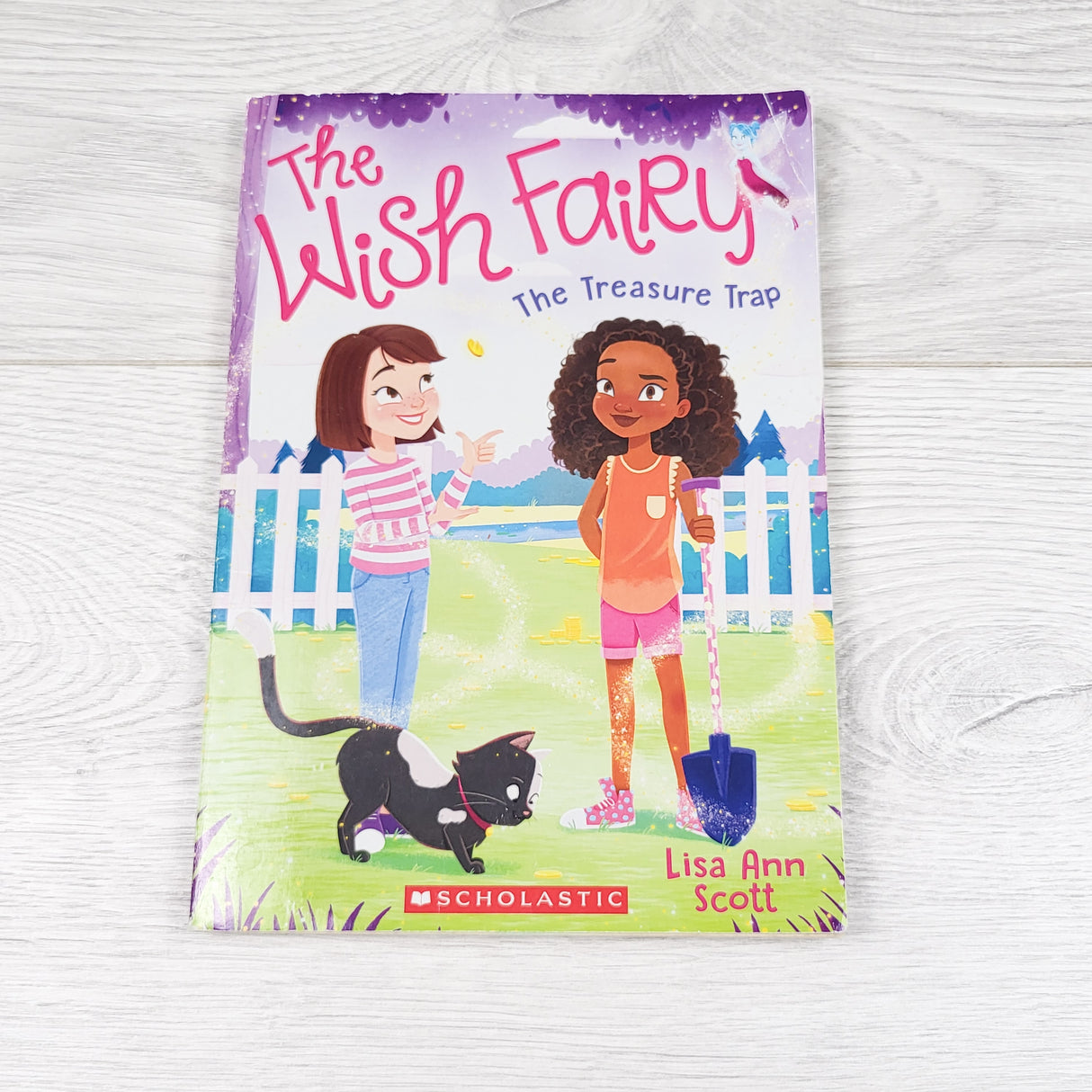 The Wish Fairy: The Treasure Map. Soft cover chapter book