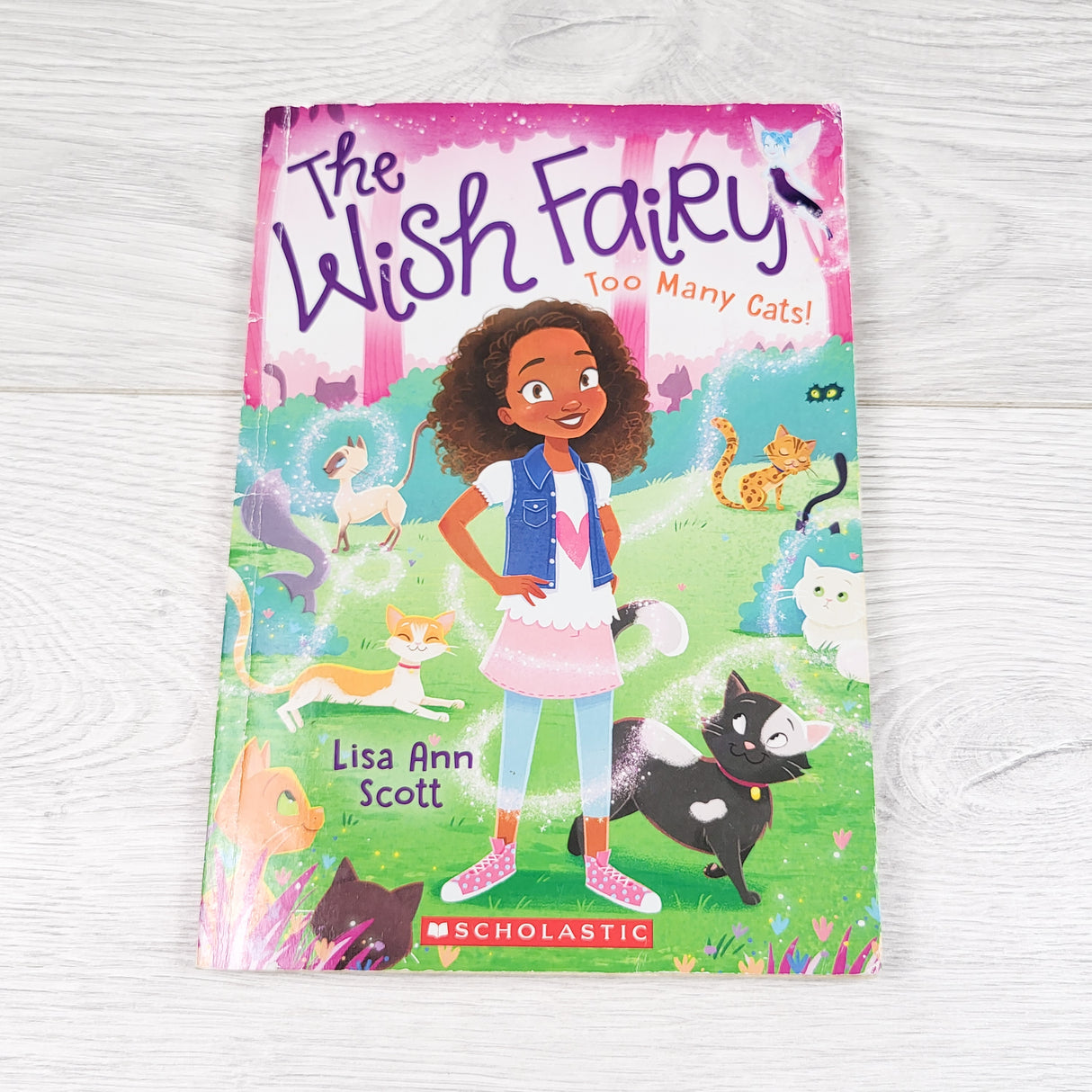 The Wish Fairy: Too Many Cats! Soft cover chapter book