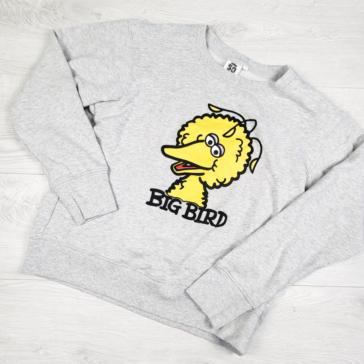 Sesame Street 50 Year commemorative Big Bird sweatshirt. ADULT size small (ladies)