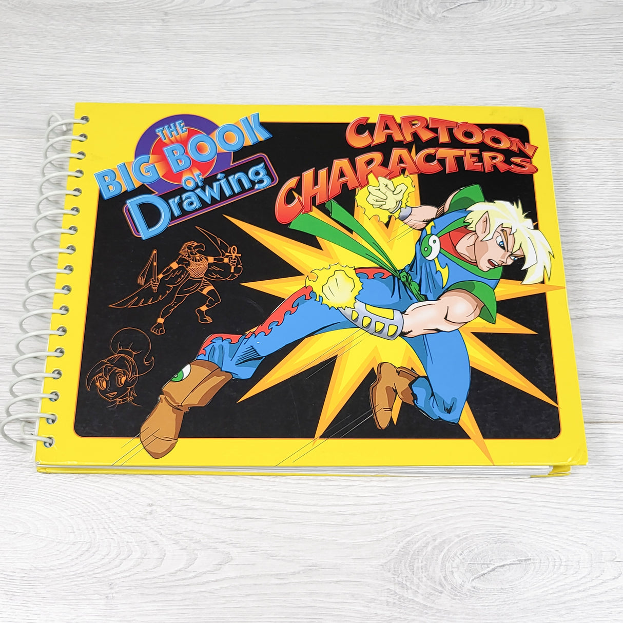 The Big Book of Drawing Cartoon Characters instructional book (sorry, no shipping)