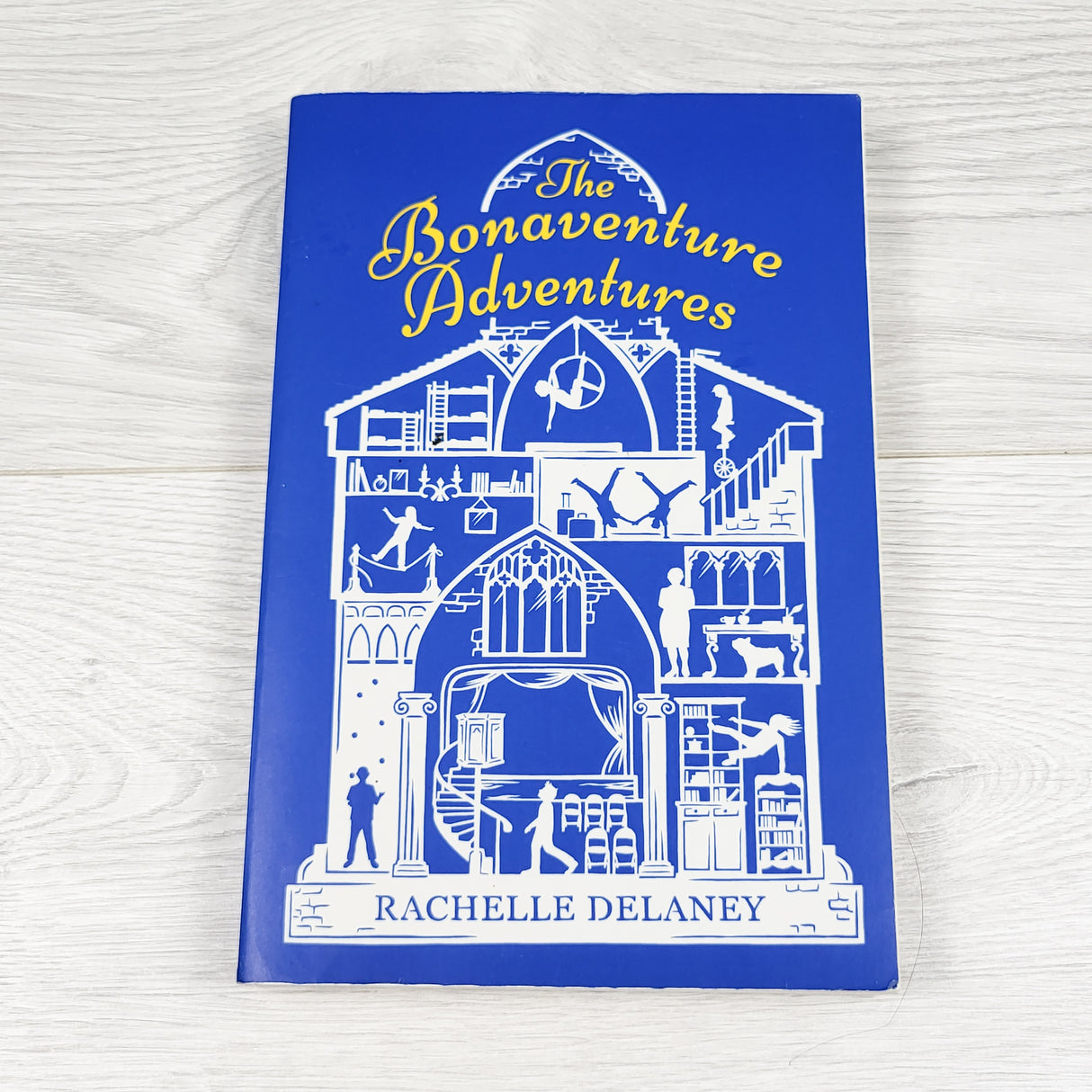 The Bonaventure Adventures. Soft cover chapter book