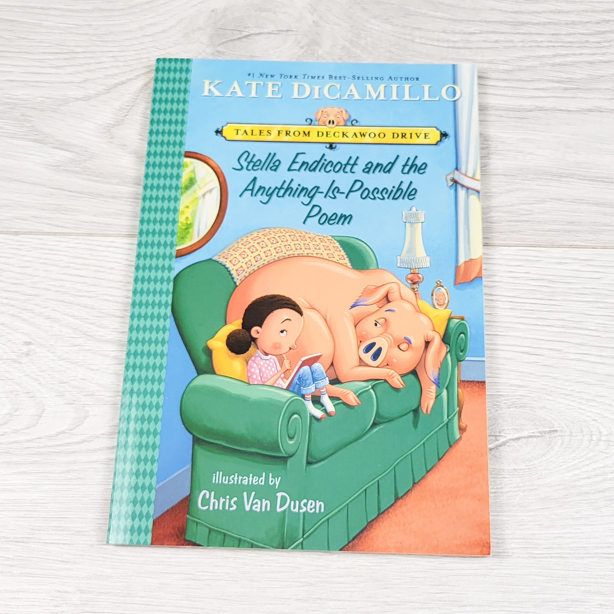 Stella Endicott and the Anything-Is-Possible Poem. Soft cover chapter book