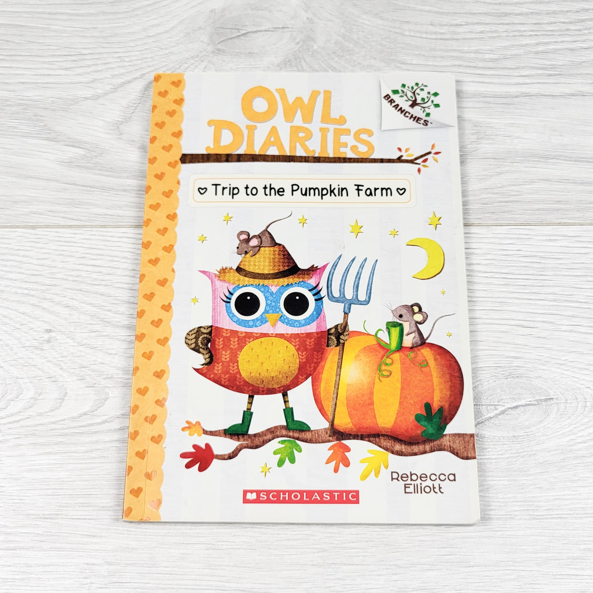 Owl Diaries: Trip to the Pumpkin Farm. Soft cover beginner chapter book