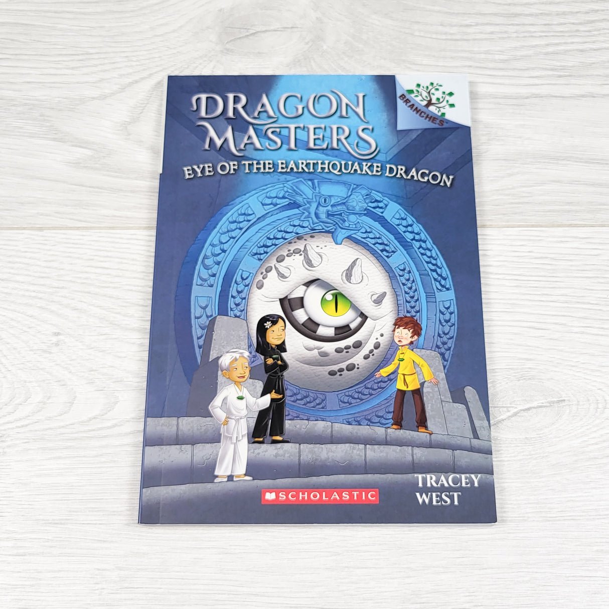 Dragon Masters: Eye of the Earthquake Dragon. Soft cover beginner chapter book