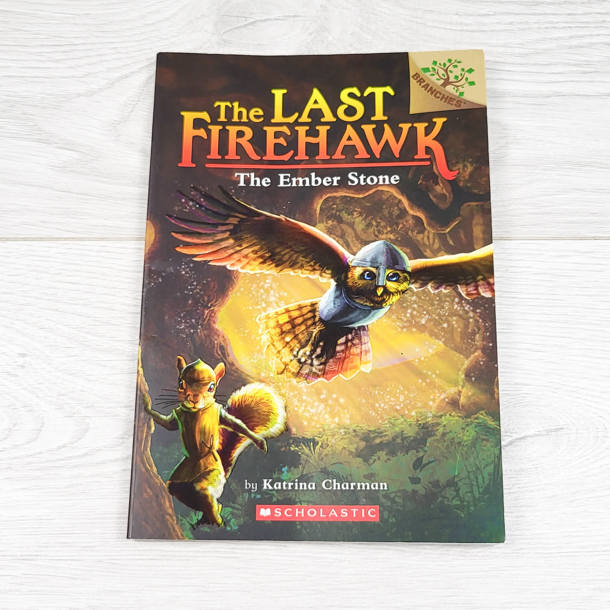 The Last Firehawk: The Ember Stone. Soft cover beginner chapter book