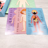 Wondertoys Wooden Human Body Magnetic Puzzle