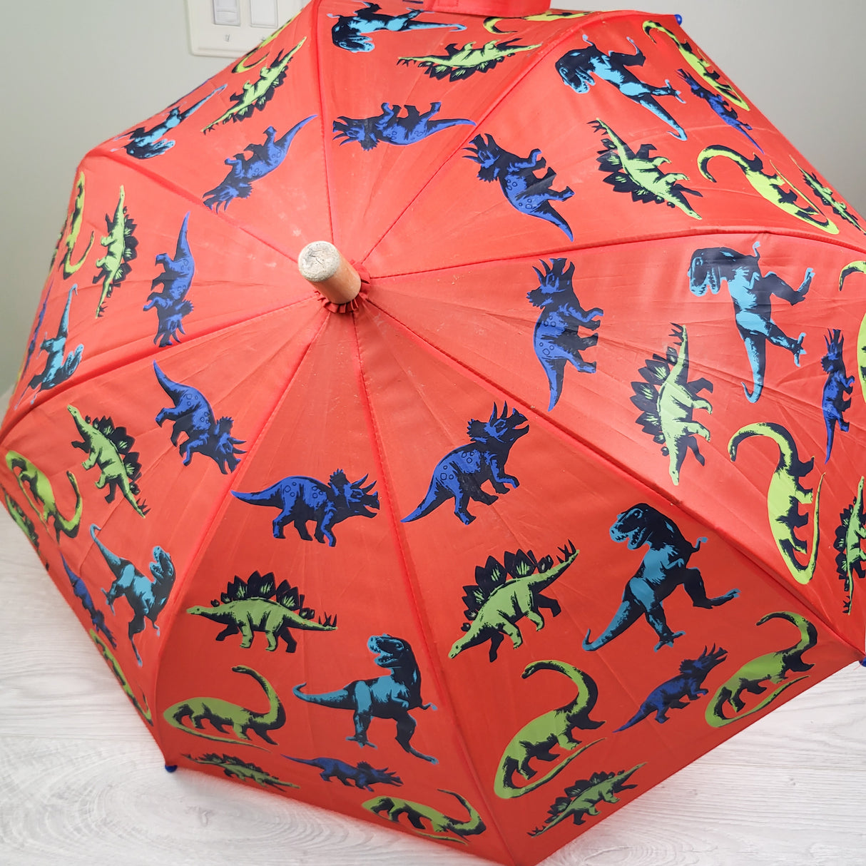 Hatley dinosaur umbrella (sorry, no shipping)