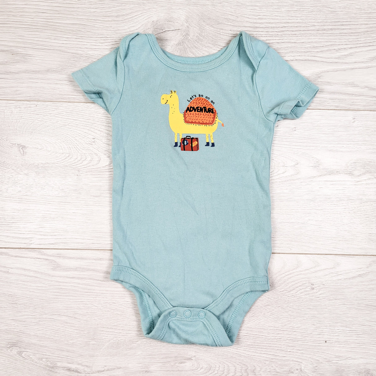 Joe aqua bodysuit with camel. Size 6-12 months