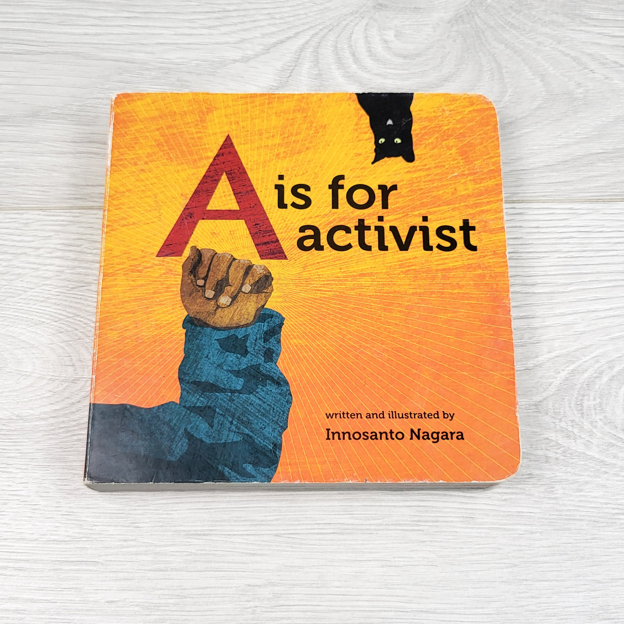 A is For Activist. Board book