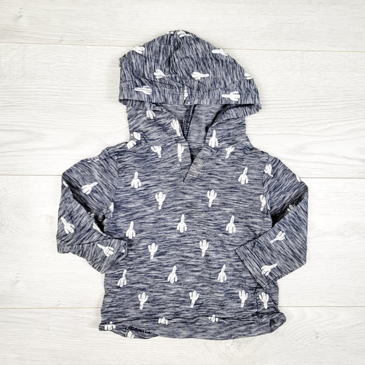 Little Me blue striped hooded top with cactus plants. Size 18 months