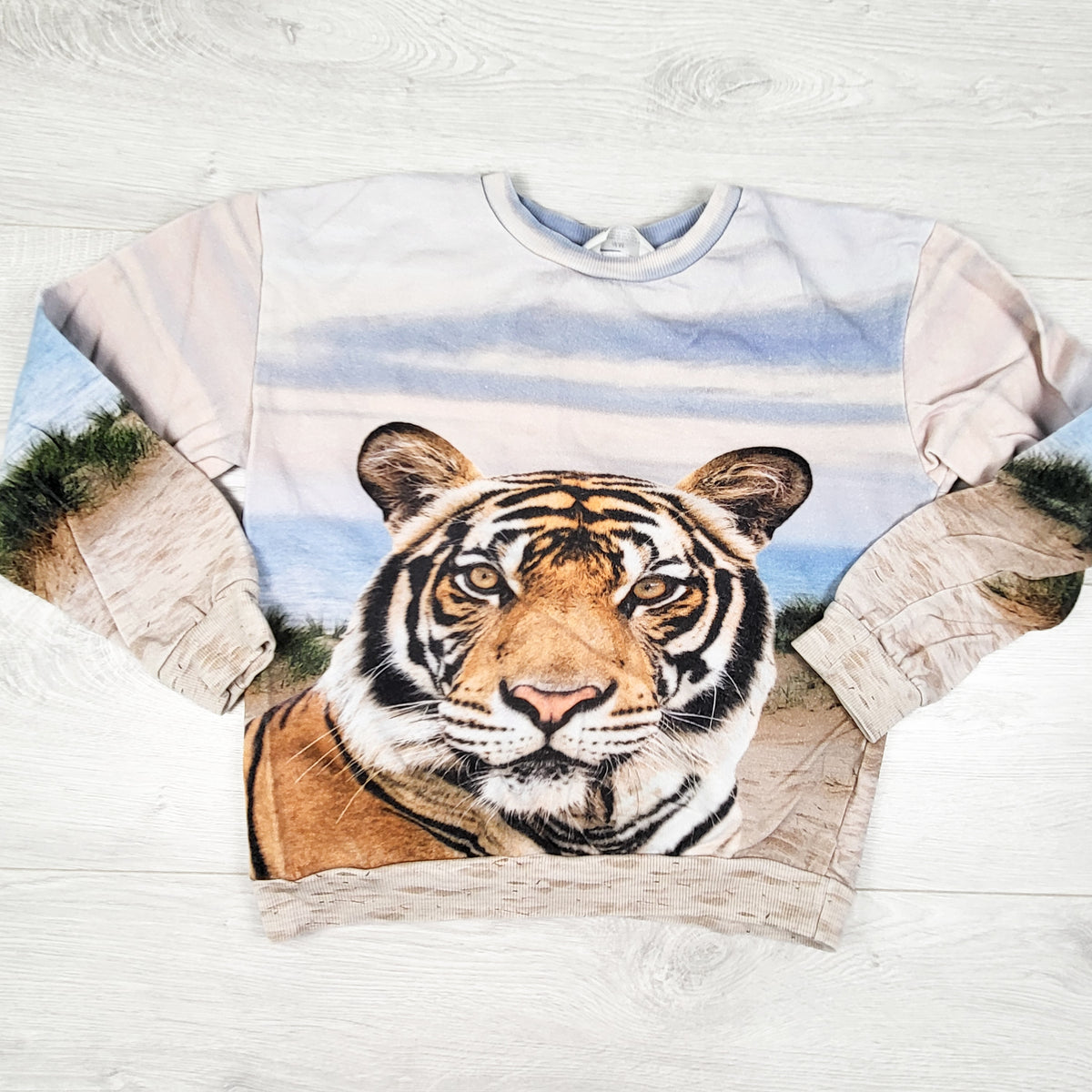 H and M pullover tiger sweatshirt. Size 8-10 Years
