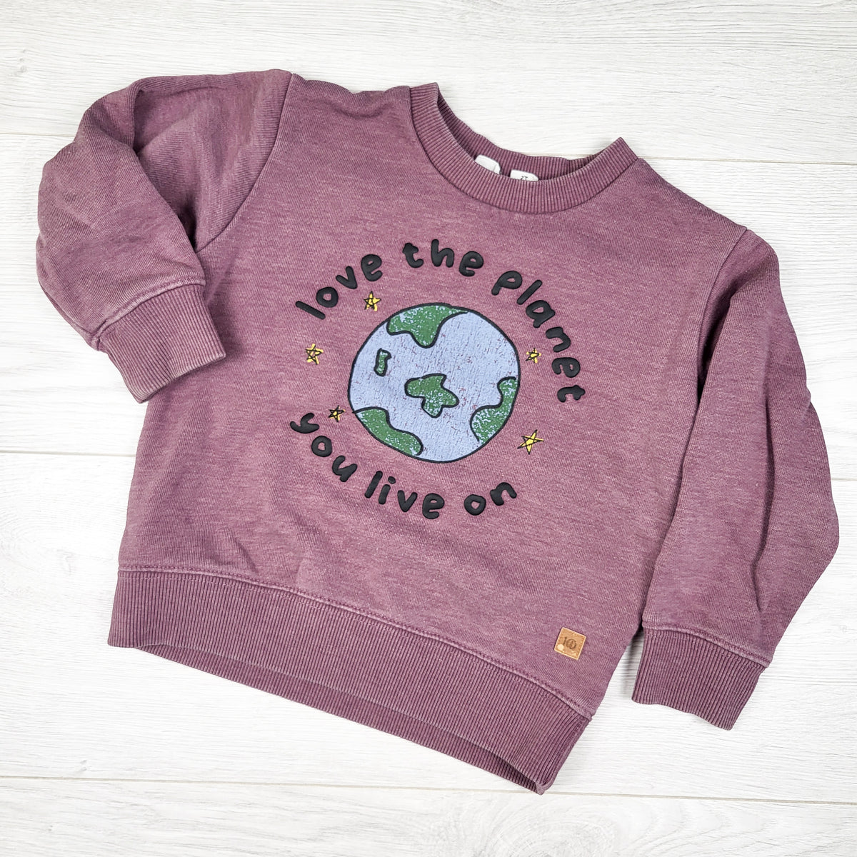 Tentree pinky-purple "Love the Planet You Live On" sweatshirt. Size 2T