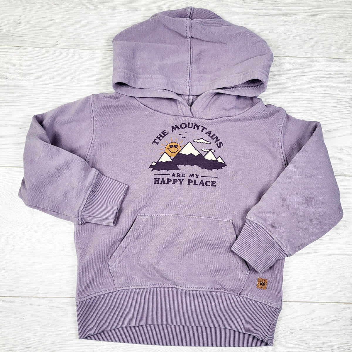 Tentree purple hooded "The Mountains Are My Happy Place" hoodie. Size 2T