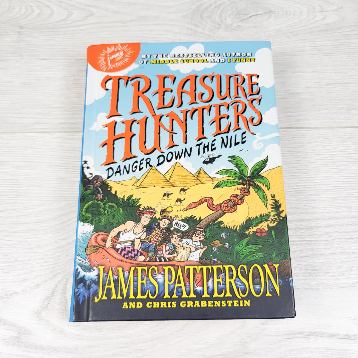 Treasure Hunters: Danger Down the Nile. Hardcover chapter book (no shipping)
