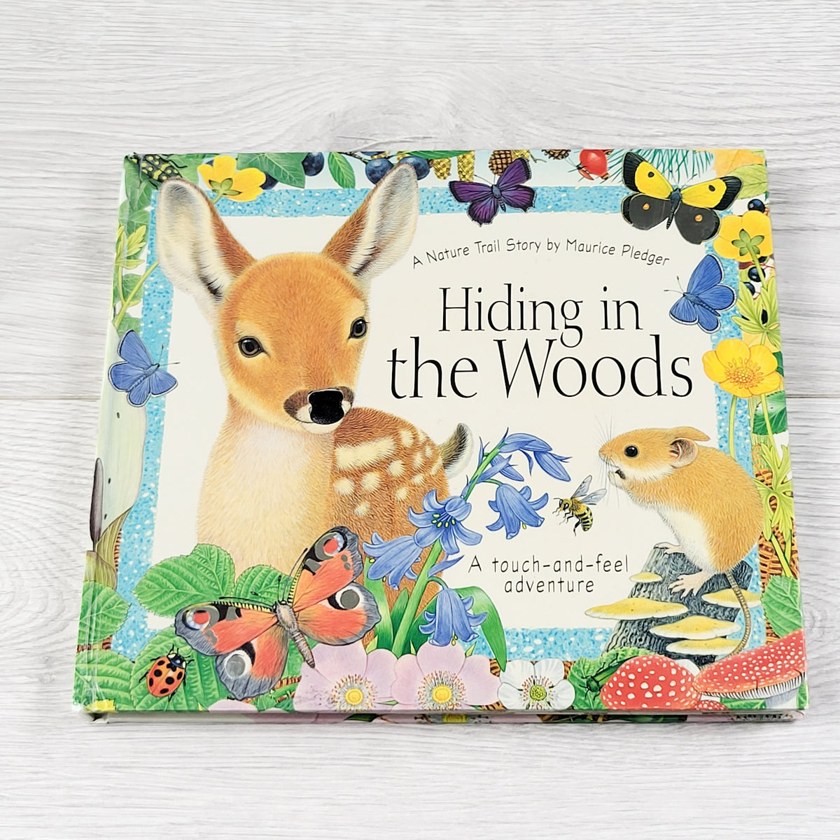 Hiding in the Woods.  Touch and feel lift the flap book