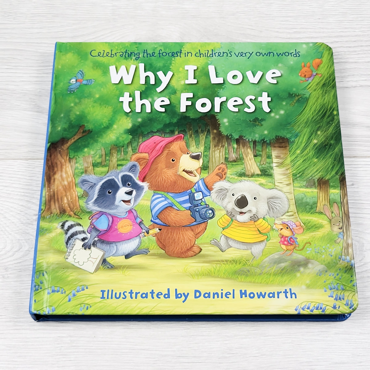 Why I Love the Forest. Large board book (sorry, no shipping)