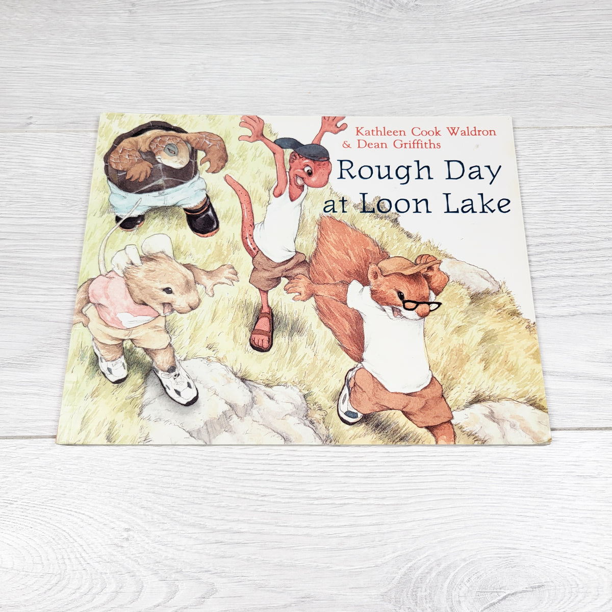 Rough Day at Loon Lake. Soft cover book