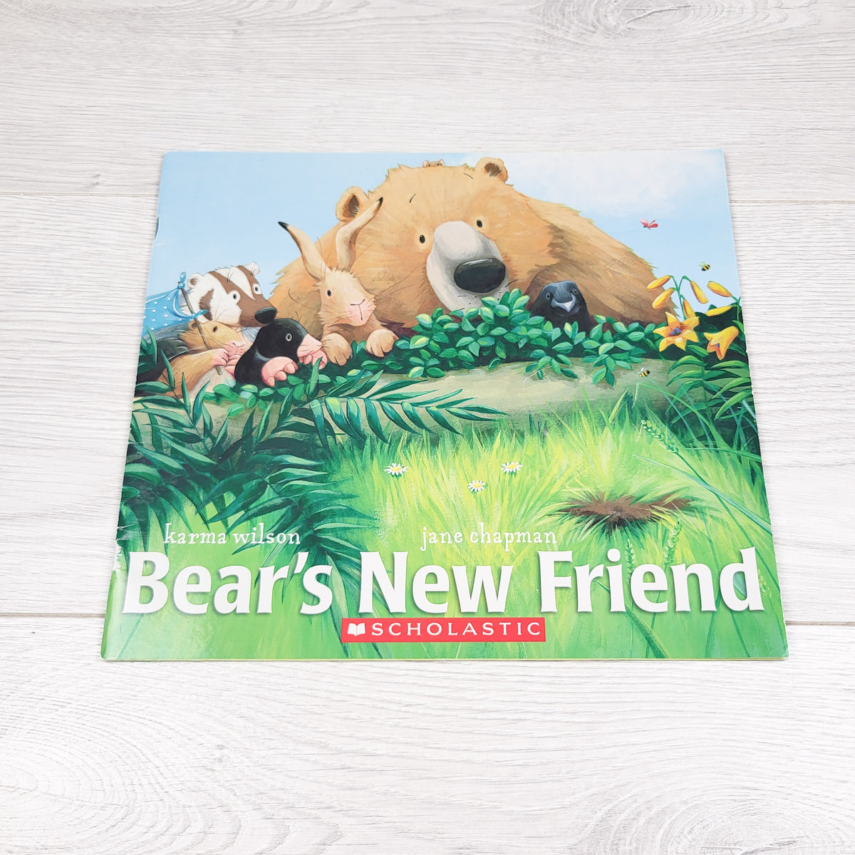 Bear's New Friend. Soft cover book