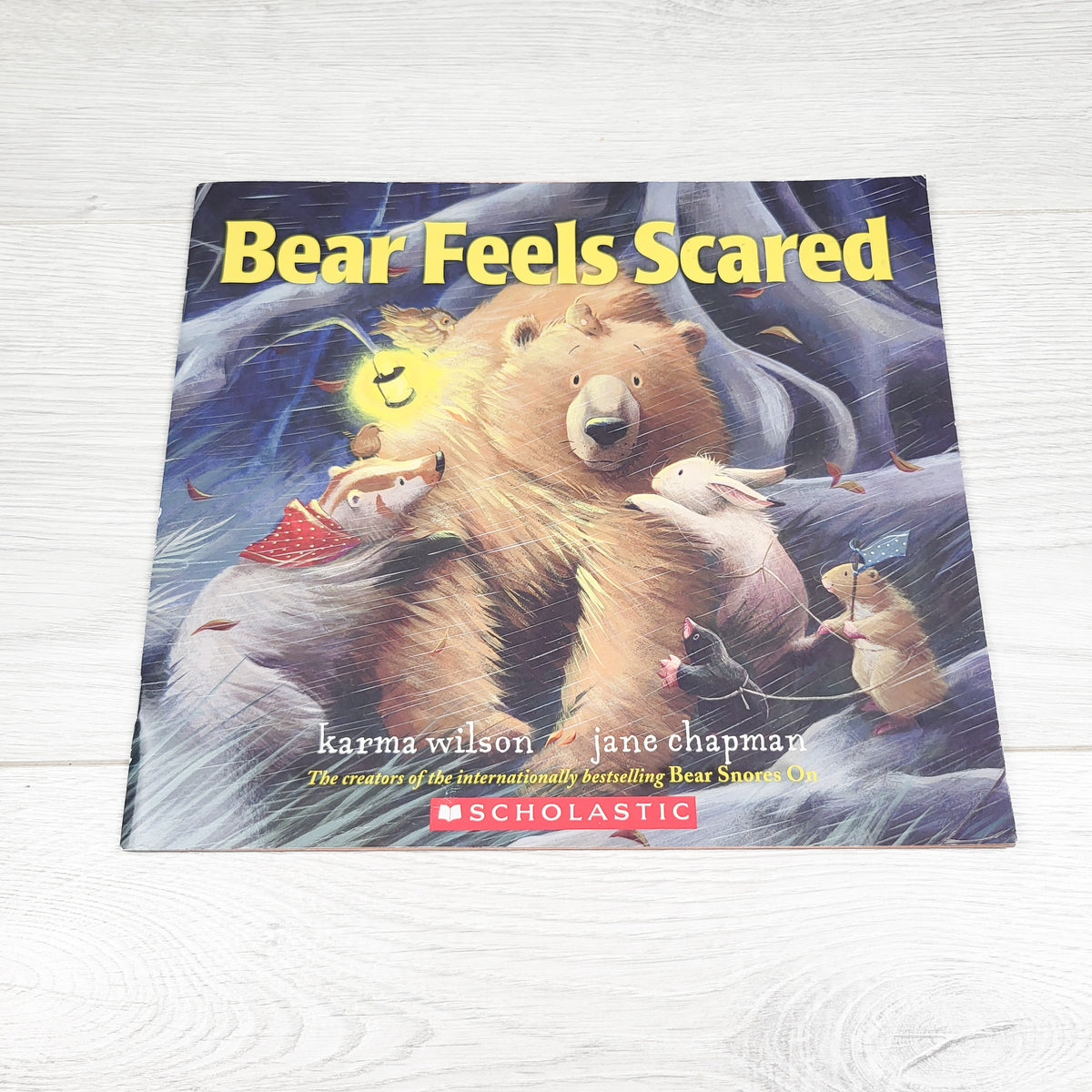 Bear Feels Scared. Soft cover book