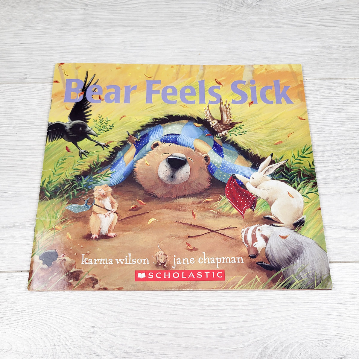 Bear Feels Sick. Soft cover book