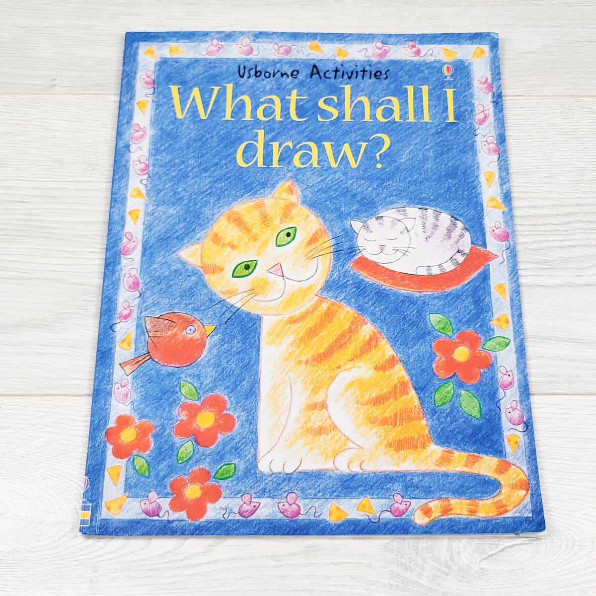 What Shall I Draw? Soft cover Usborne book