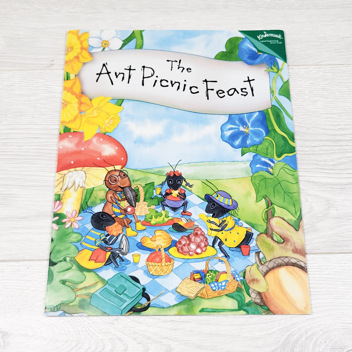 The Ant Picnic Feast. Soft cover book