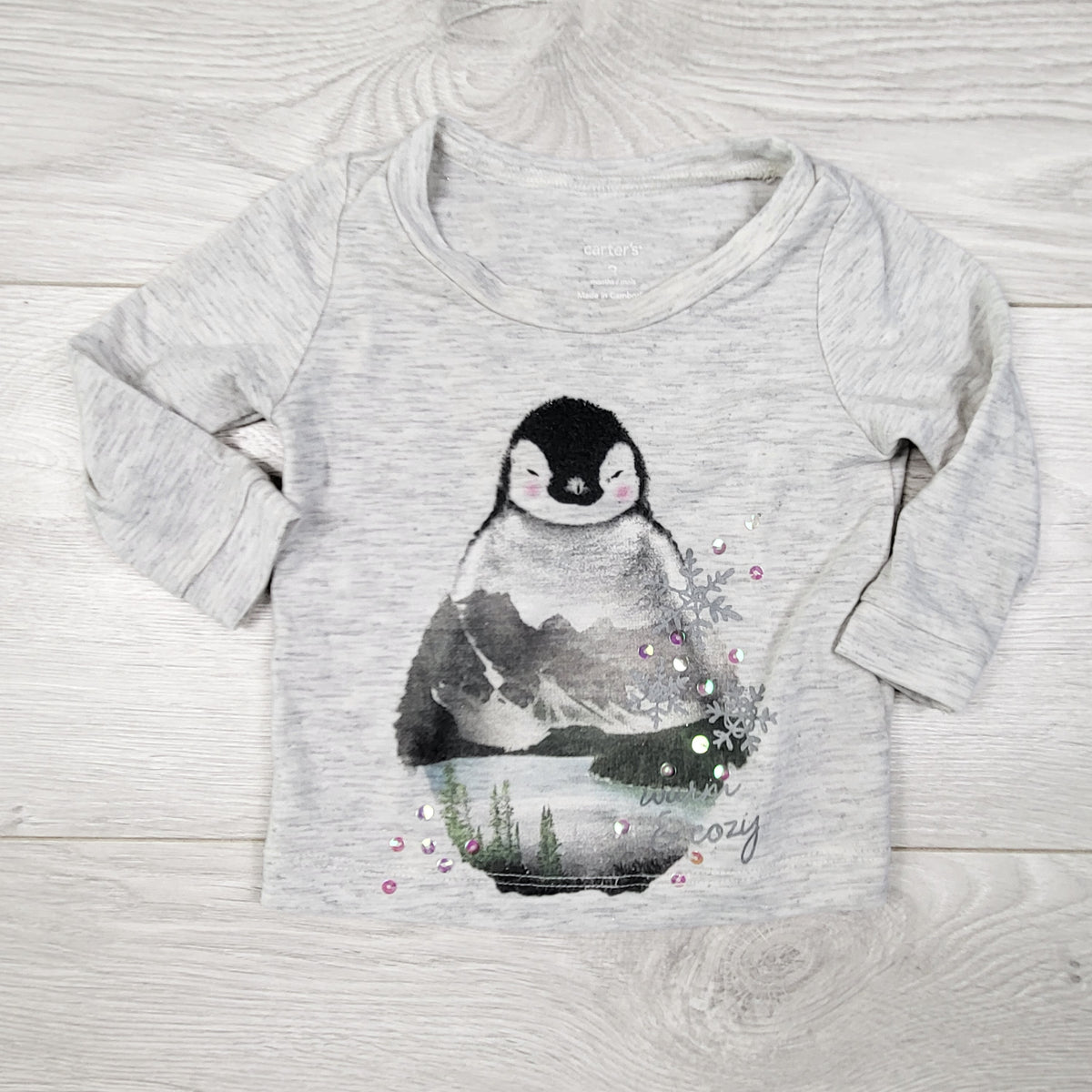 Carters grey long sleeve top with penguin. Size 3 months