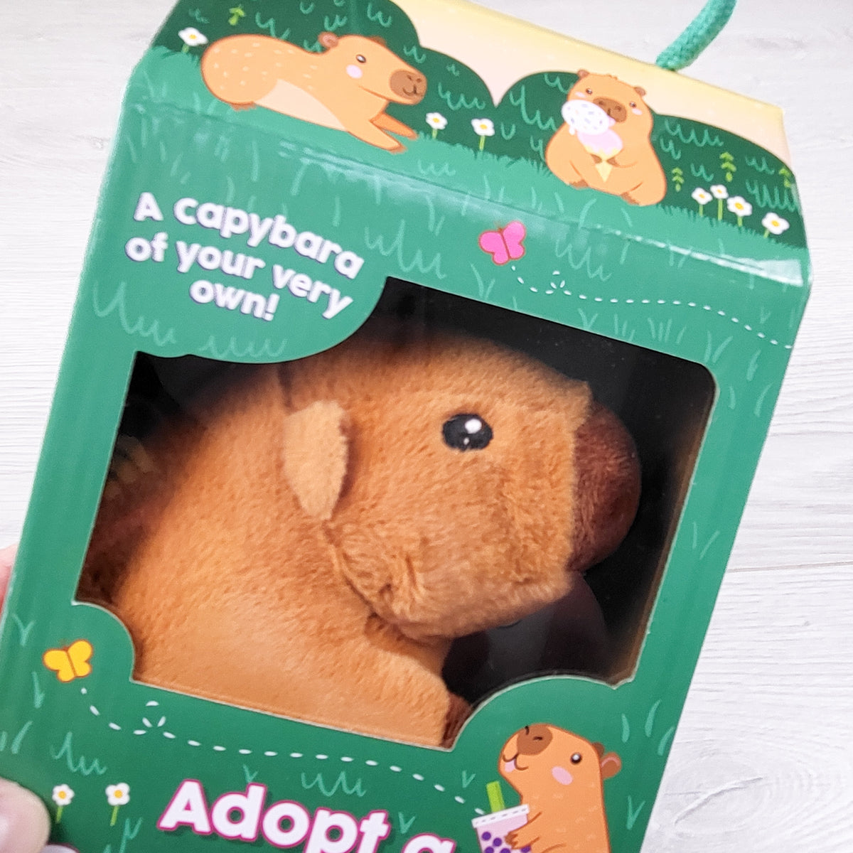 Adopt a Capybara set.