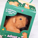 Adopt a Capybara set.
