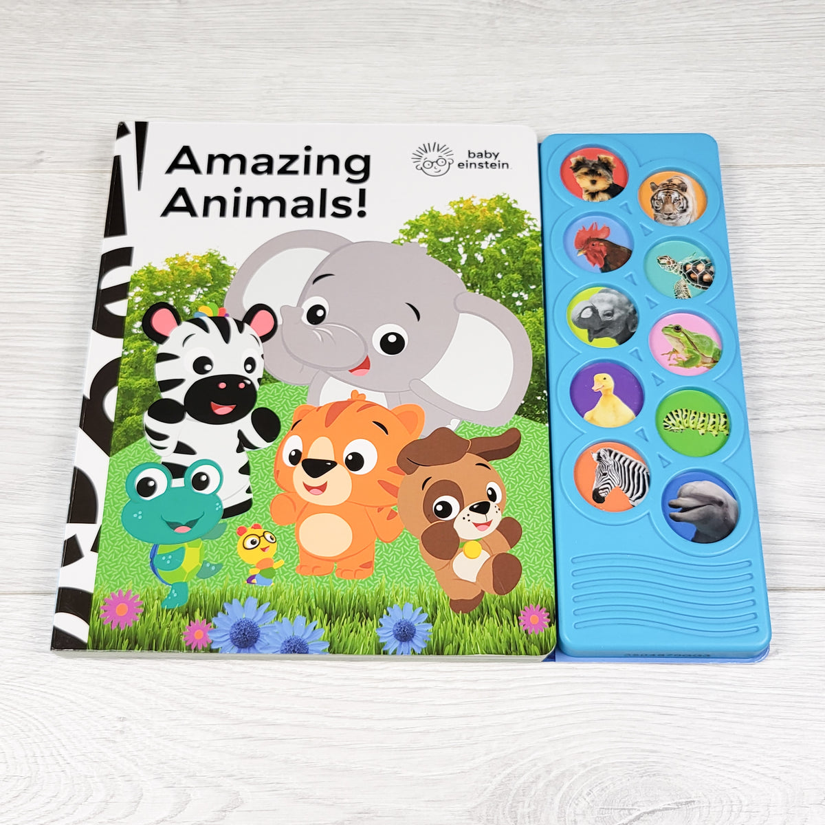 Baby Einstein Amazing Animals play-a-sound board book (no shipping)