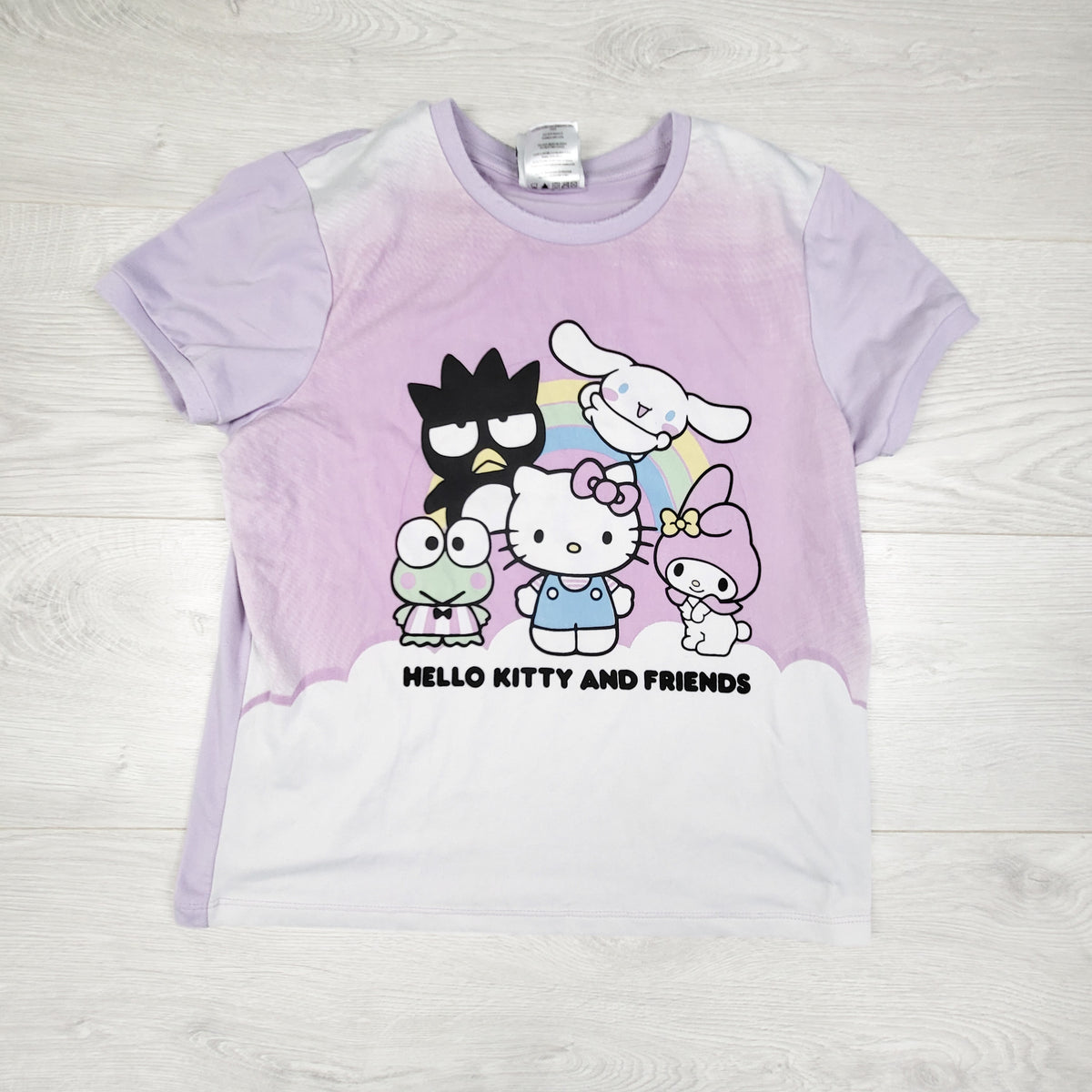 Purple ombre style Hello Kitty and Friends t-shirt. Size 14/16