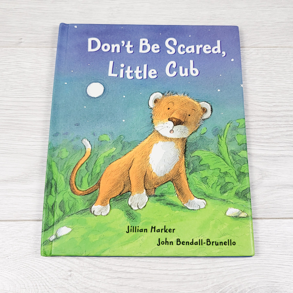 Don't Be Scared Little Cub. Hardcover book