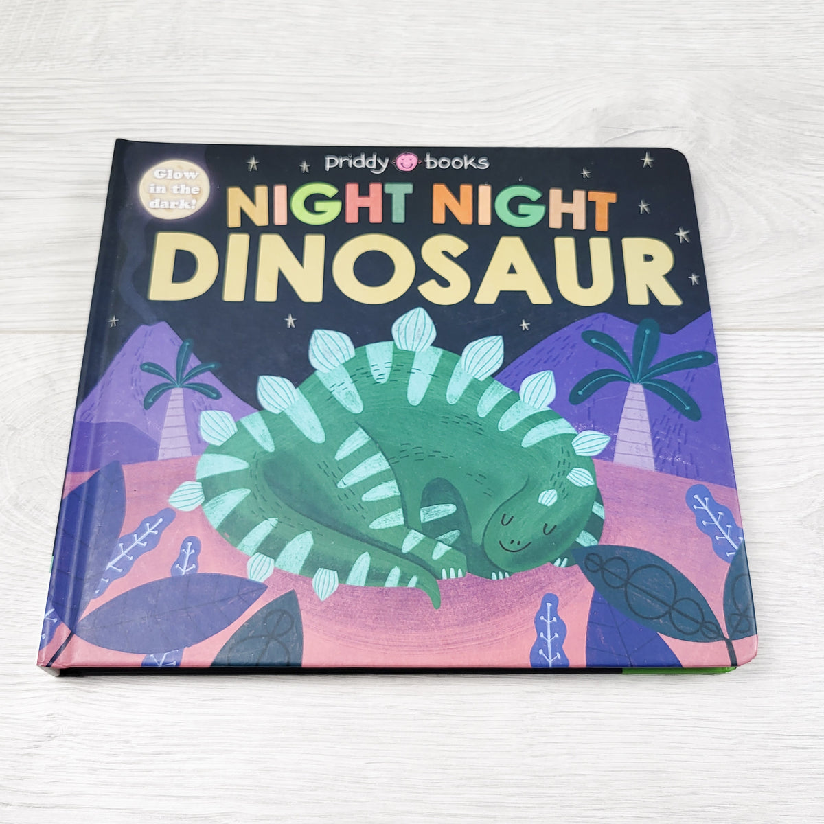 Night Night Dinosaur. Board book