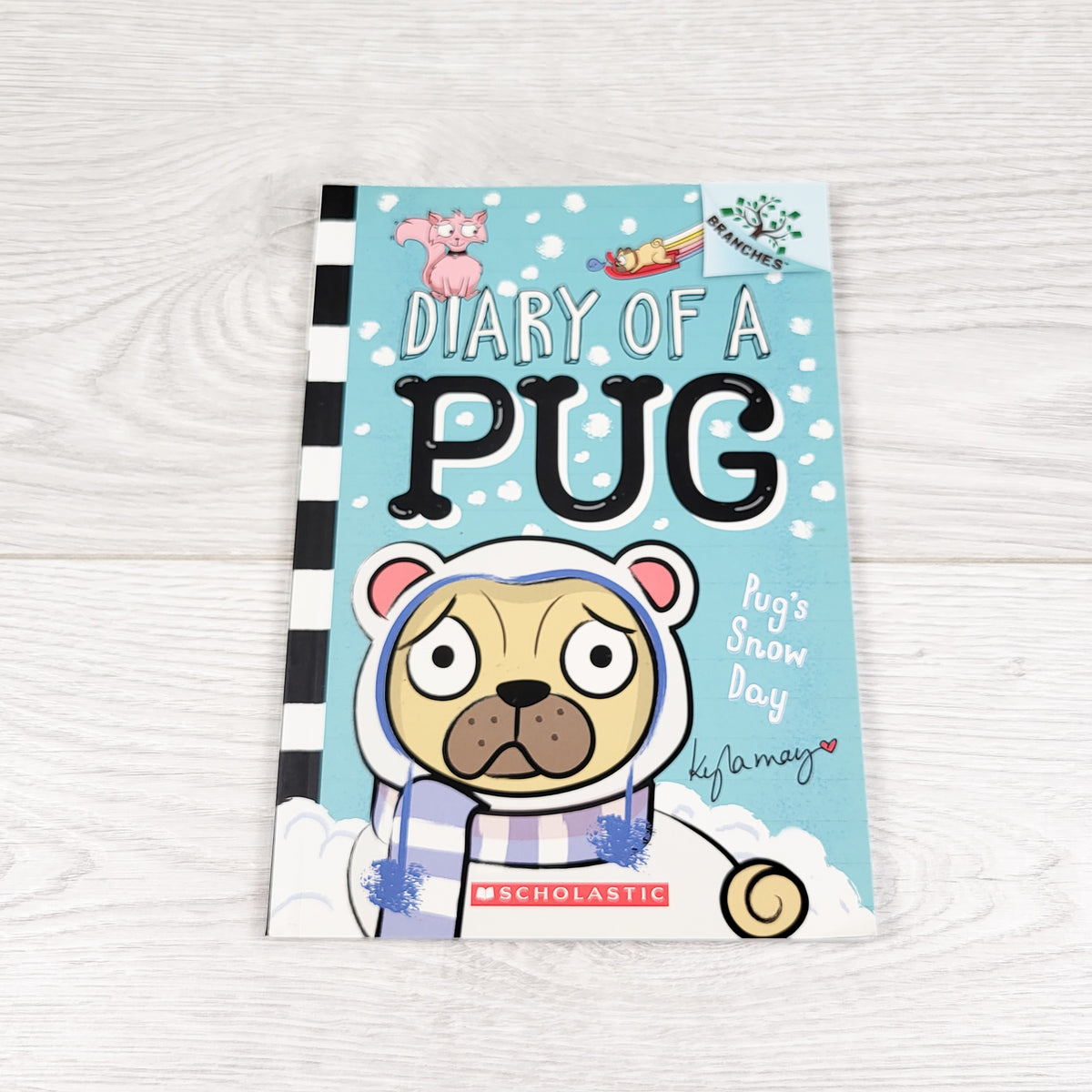 Diary of a Pug: Pug's Snow Day. Soft cover book