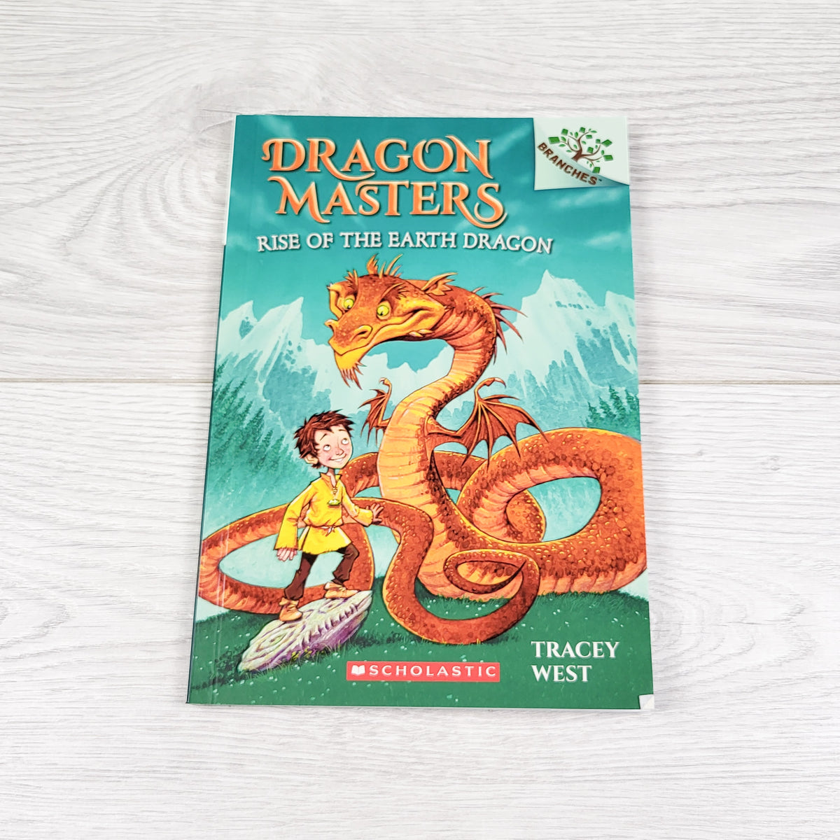 Dragon Masters: Rise of the Earth Dragon. Soft cover book