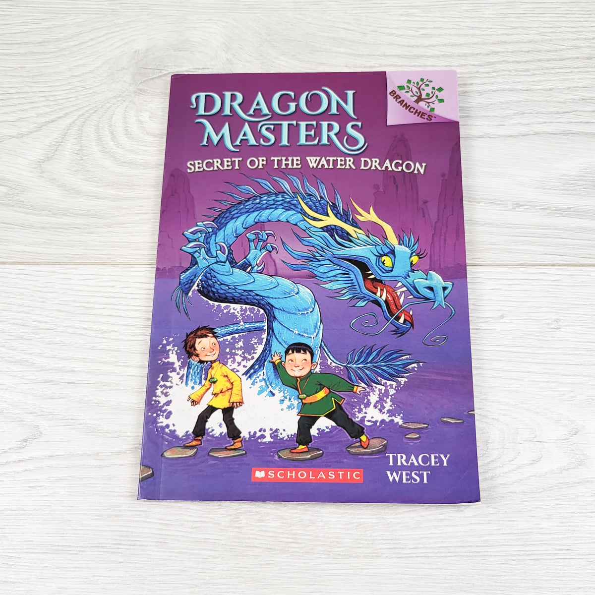 Dragon Masters: Secret of the Water Dragon. Soft cover book