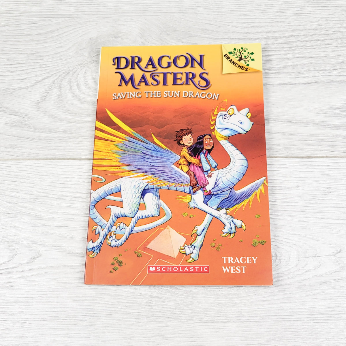 Dragon Masters: Saving the Sun Dragon. Soft cover book