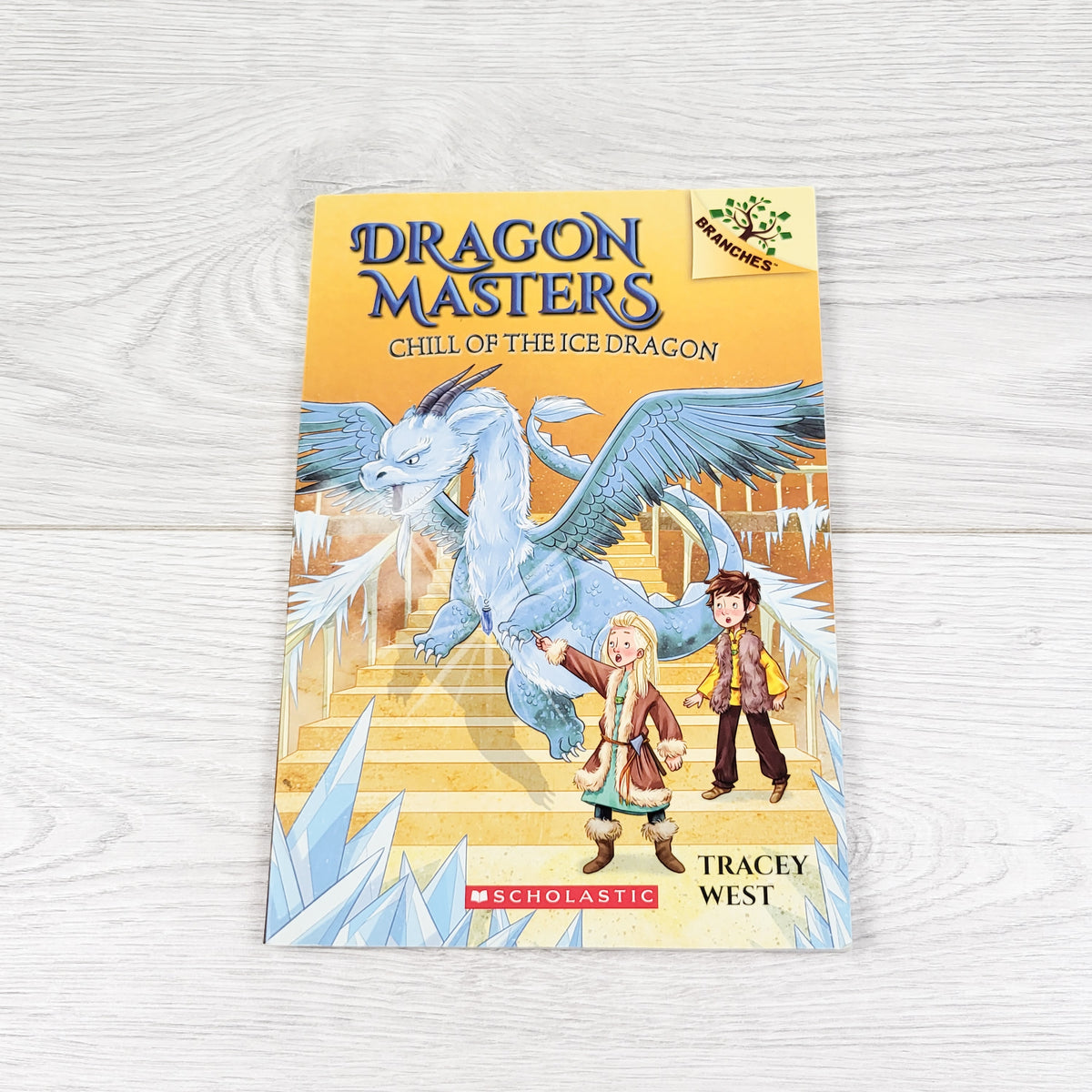 Dragon Masters: Chill of the Ice Dragon. Soft cover book