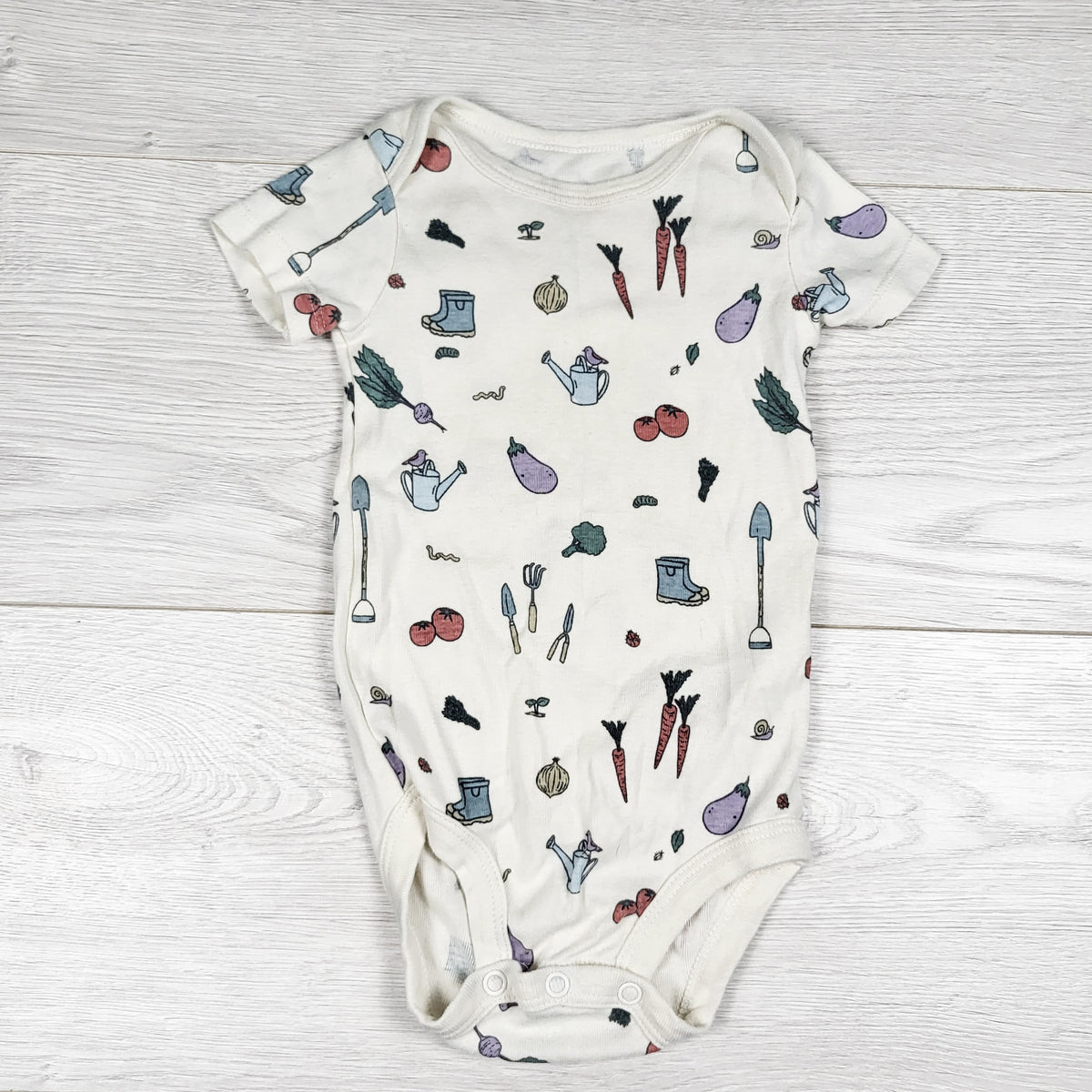 Little Planet garden themed bodysuit. Size 9 months