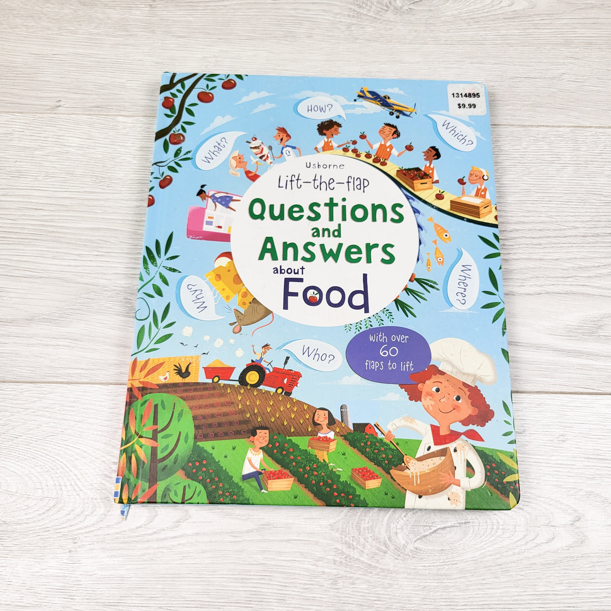 Questions and Answers About Food. Usborne hardcover lift the flap book (no shipping)