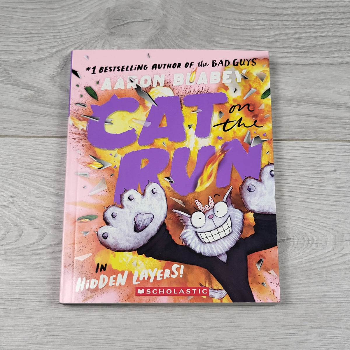 Cat on the Run in Hidden Layers. Soft cover chapter book