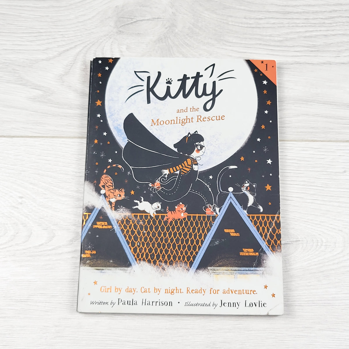 Kitty and the Moonlight Rescue. Soft cover chapter book