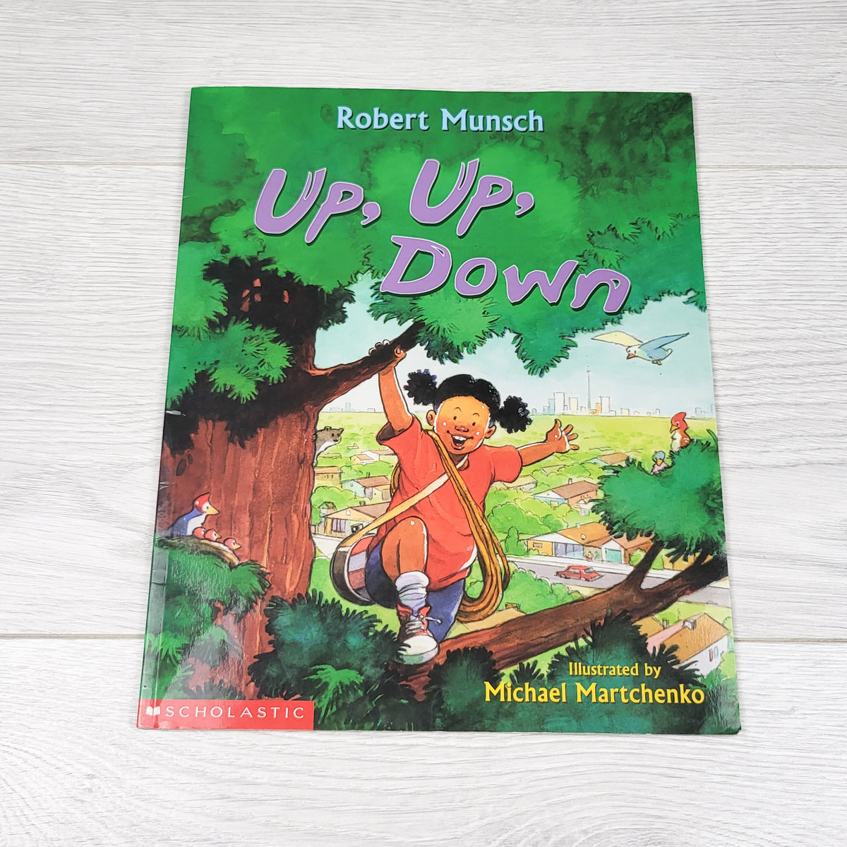 Up, Up Down. Soft cover book