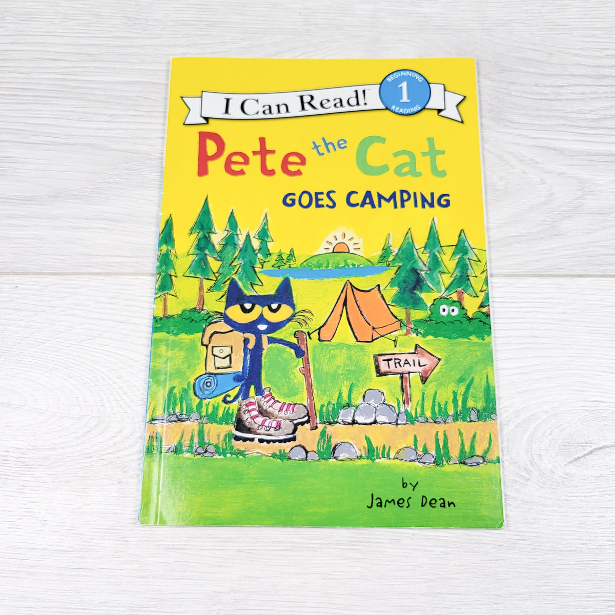 Pete the Cat Goes Camping - soft cover early reader book