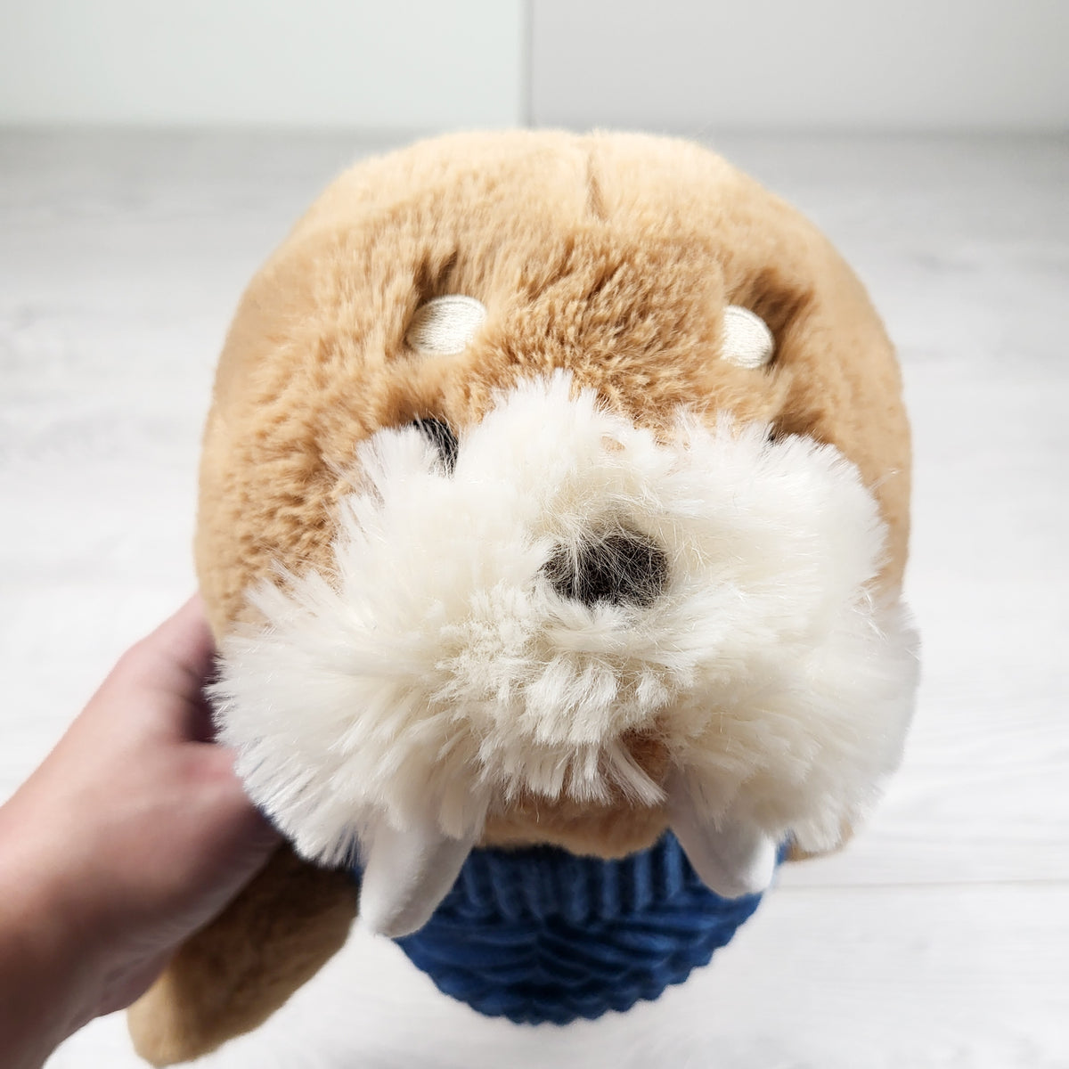 Medium sized walrus plush - sorry, no shipping