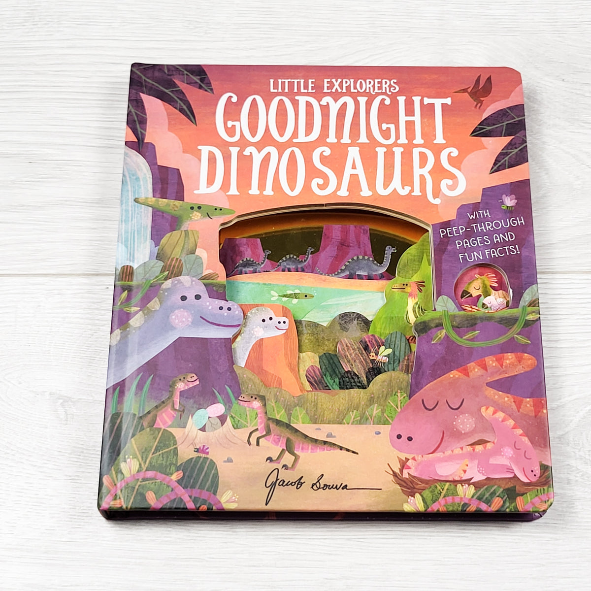 Goodnight Dinosaurs - board book