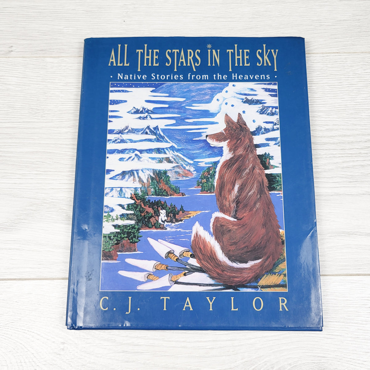 All the Stars in the Sky - hardcover book